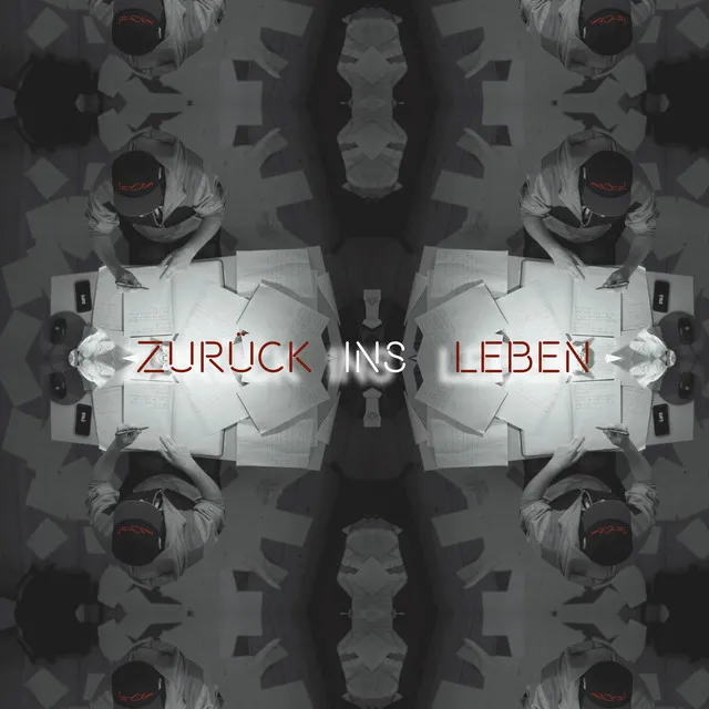 Zurück Ins Leben