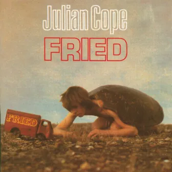 Fried by Julian Cope