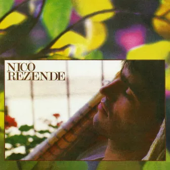 Nico Rezende by Nico Rezende