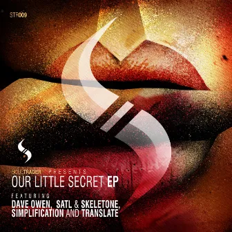 Our Little Secret EP by Translate