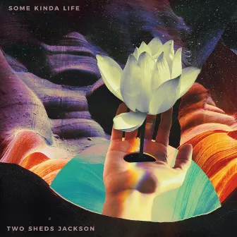 Some Kinda Life by Two Sheds Jackson