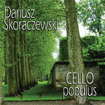 Cello Populus by Dariusz Skoraczewski