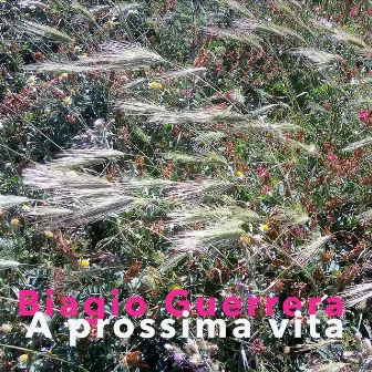 A prossima vita by Biagio Guerrera