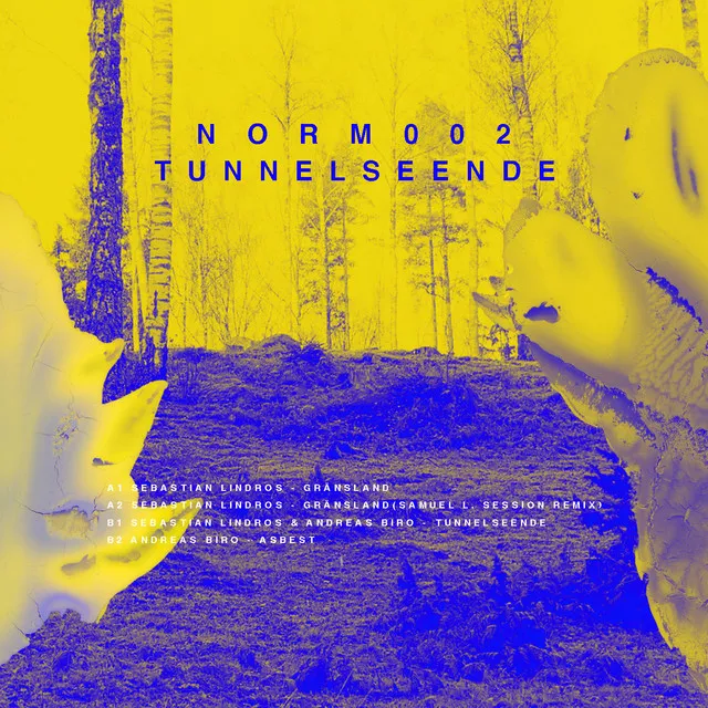 Tunnelseende - EP