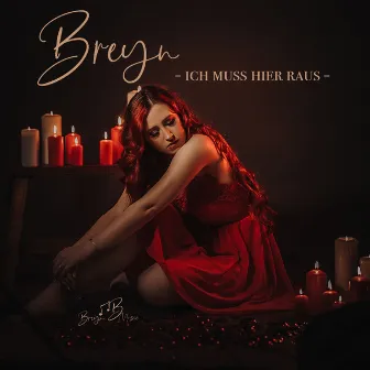 Ich muss hier raus (Radio Edit) by Breyn