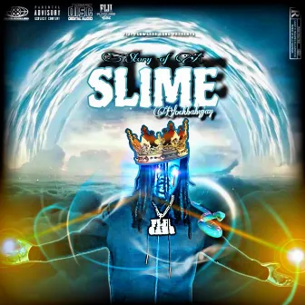 Story Of A Slime by Fiji Flawless Gang