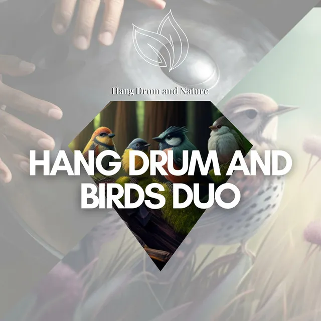 Hang Drum and Birds Duo