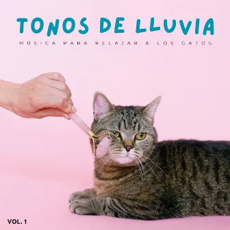 Tonos De Lluvia: Música Para Relajar A Los Gatos Vol. 1 by Sonidos de Lluvia para Relajarse