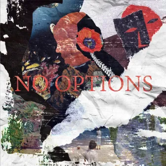 No Options by Ned Wolf