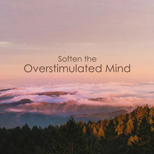 Soften the Overstimulated Mind (Soothing and Relaxing Nature Sounds with Calm Instrumental Music)