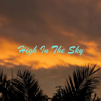 High In The Sky by H