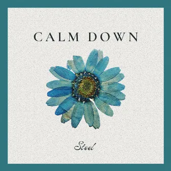 Calm Down by Steel