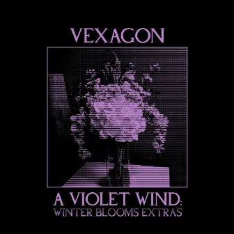 A Violet Wind: Winter Blooms Extras by Vexagon