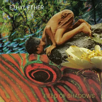 Field of Shadows by Ethyl Ether