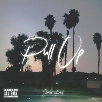 Pull Up by James Kahil