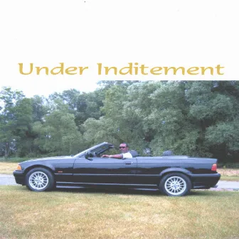 Under Inditement by Mic Tee