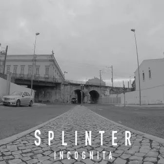 Incognita by Splinter