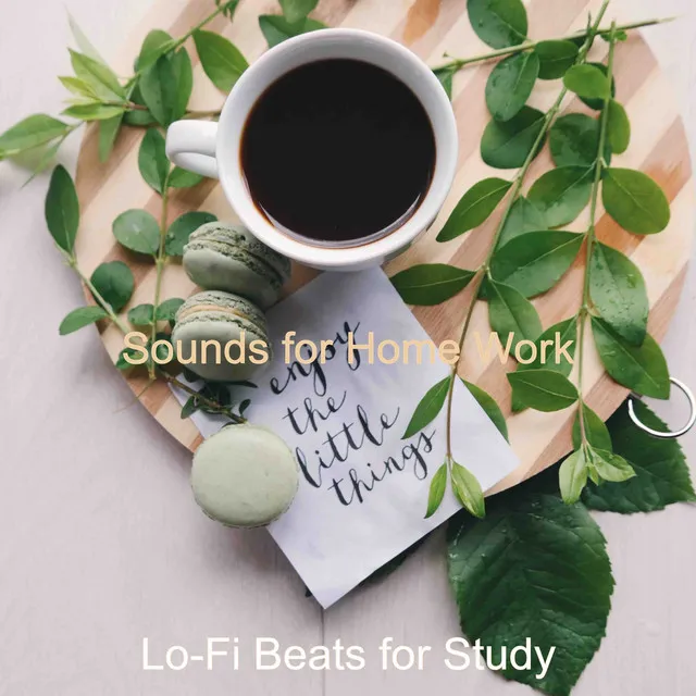 Music for Study Time - Lofi