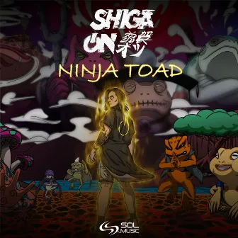 Ninja Toad by SHIGAON