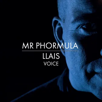 Llais / Voice by Mr Phormula