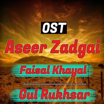 Aseer Zadgai by Faisal Khayal