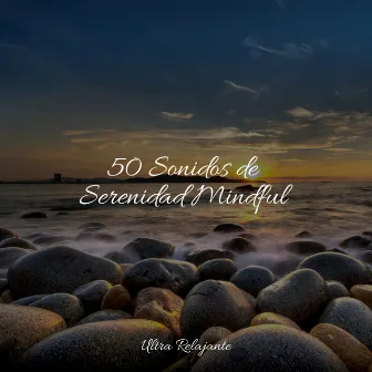 50 Sonidos de Serenidad Mindful by Dulces Sueños