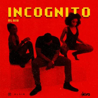 Incognito by The KVG