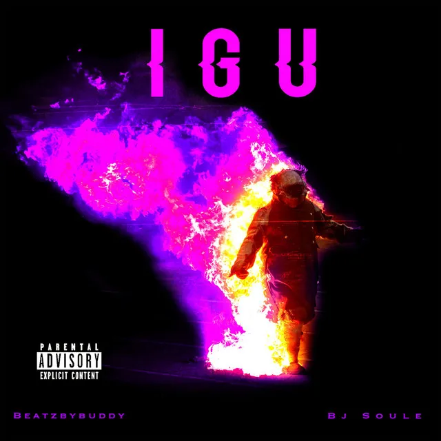 IGU