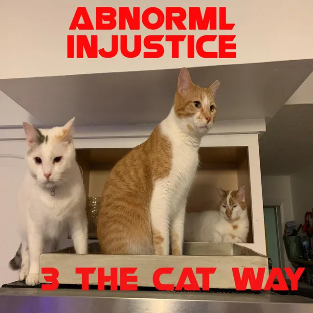 3 the Cat Way