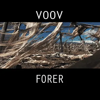 Forer by VOOV