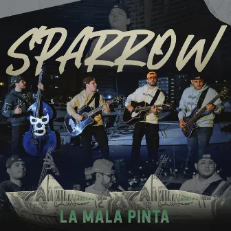 Sparrow by La Mala Pinta