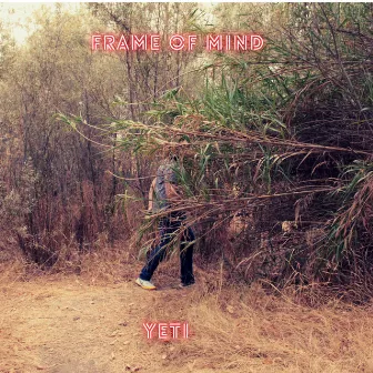 Frame of Mind by Yeti