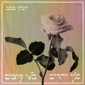 אין ורדים בלי קוצים by שגב