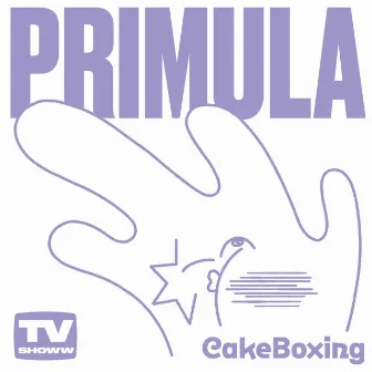 Cake Boxing by Primula