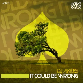 It Could Be Wrong by Dj Akiles