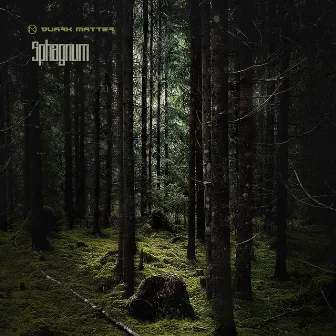 Sphagnum by Quark Matter