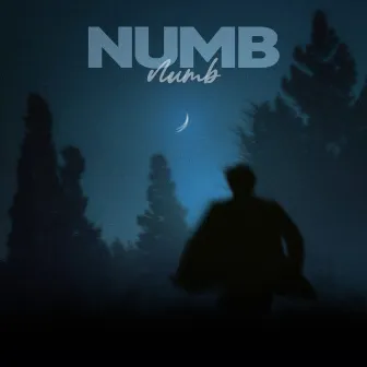 Numb by Vivaad