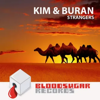 Strangers by Buran