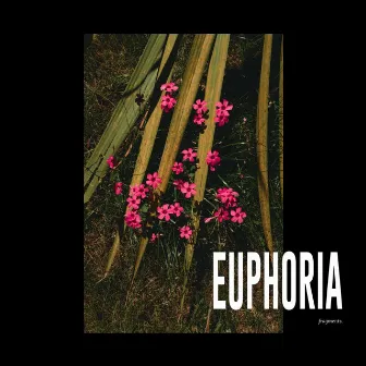 EUPHORIA / fragments. by Jules Ahoi