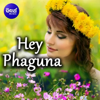 Hey Phaguna by 