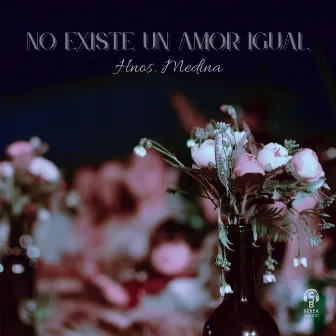 No Existe un Amor Igual by Hnos. Medina