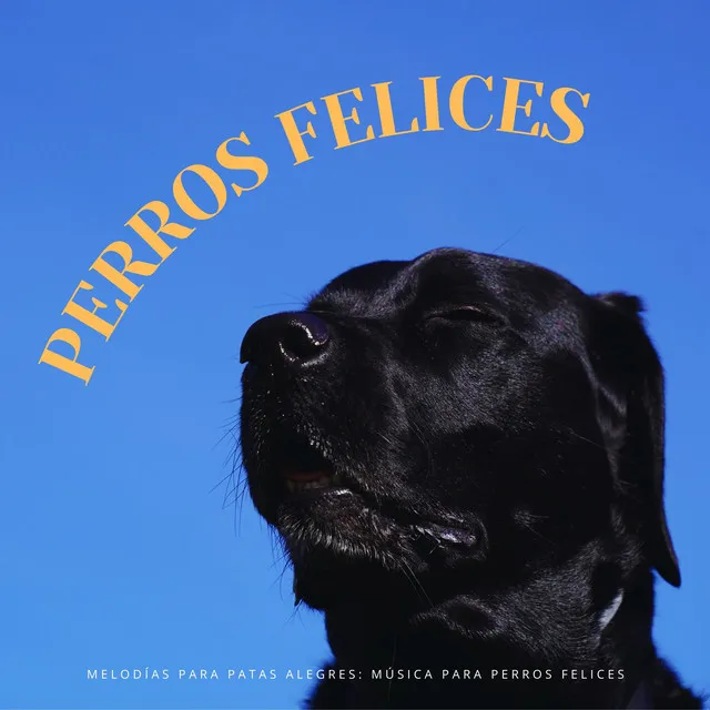 Melodías Para Patas Alegres: Música Para Perros Felices