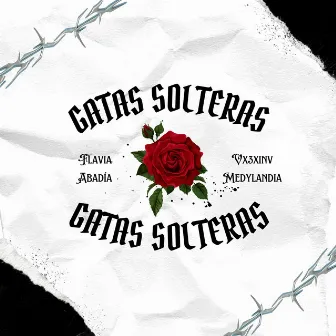 GATAS SOLTERAS by Vx3xinv