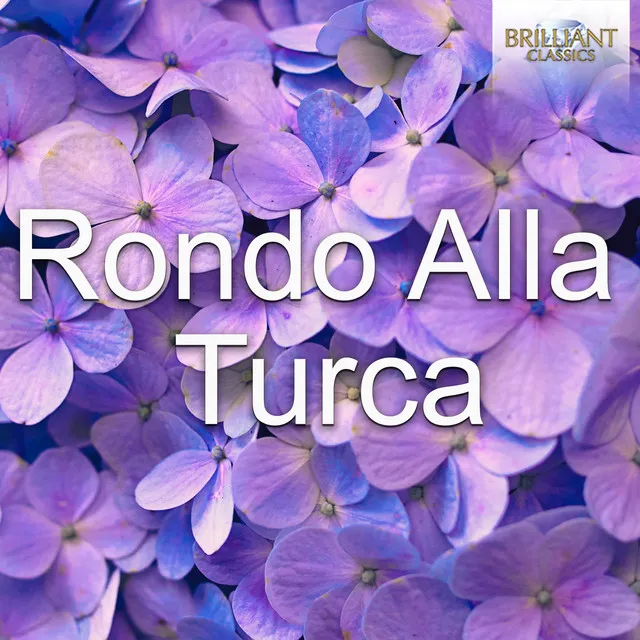 Piano Sonata No. 11 in A Major, K. 331: III. Alla Turca. Allegretto