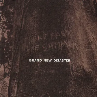 Hold Fast the Summer by Brand New Disaster