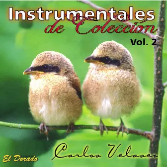 Instrumentales de Colección, Vol. 2 by Carlos Velasco