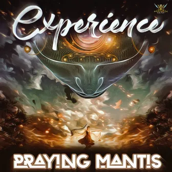 Experience by Praying-Mantis