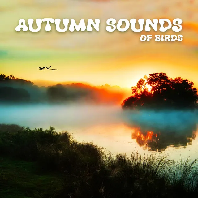 Autumn Sounds of Birds: Relaxing Autumn Nature Sounds