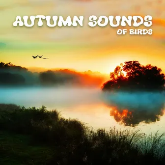 Autumn Sounds of Birds: Relaxing Autumn Nature Sounds by Universe of Nature Orchestra