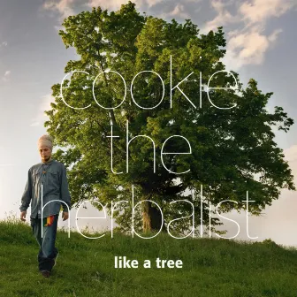 Like a Tree by Cookie The Herbalist